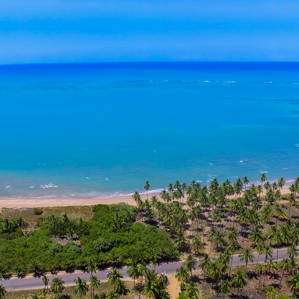 Paraiso dos Coqueirais – Contato – Eco Pousada em Japaratinga AL