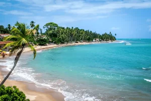 Japaratinga, paraíso tropical em Alagoas, praias paradisíacas