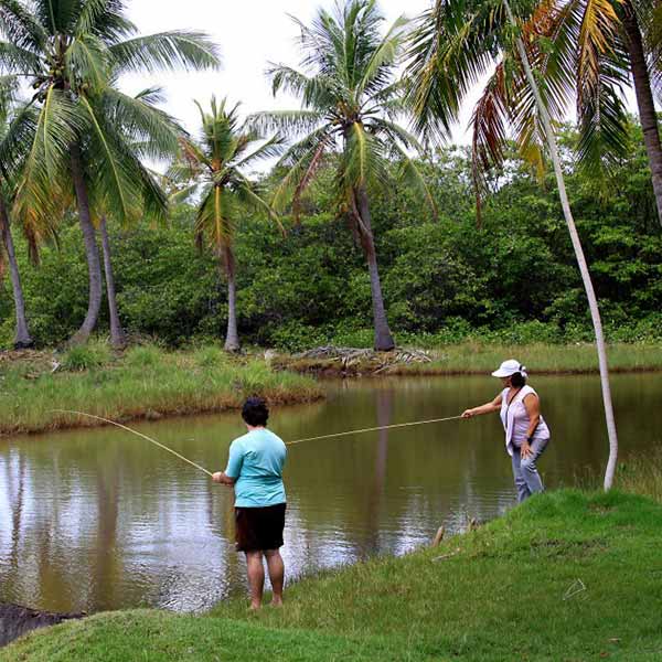 Paraíso dos Coqueirais – Eco Pousada em Japaratinga AL