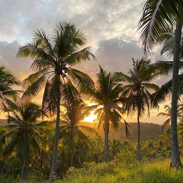 Paraíso dos Coqueirais – Eco Pousada em Japaratinga AL
